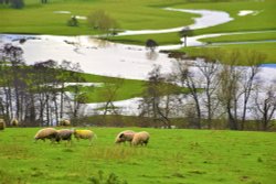 The River Teme in flood.