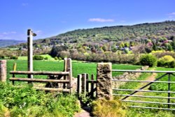 The Path from Calver to the Hillside Village of Curbar Wallpaper