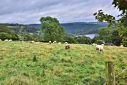 More Hall Reservoir at Ewden, Viewed from New Mill Bank Wallpaper