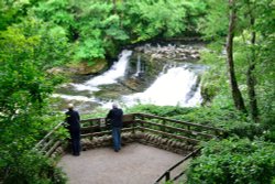 Aysgarth Middle Falls Wallpaper