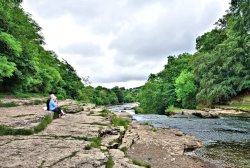 River Ure View Downstream from Aysgarth Lower Falls Wallpaper