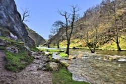 River Dove View to the South, with Trees Wallpaper