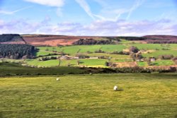 View West from Strines Over Bradfield Dale Wallpaper