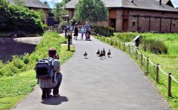 Photo Opportunity at WWT London Wallpaper