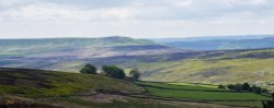 Bransdale, North Yorkshire Wallpaper