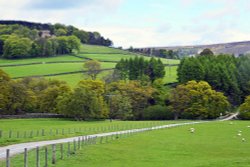 Bransdale, North Yorkshire Wallpaper