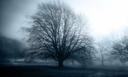 Clarke's Gardens Liverpool Wallpaper