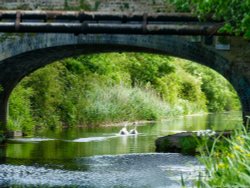 Grand Union Canal Wallpaper