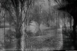 Flooded Eton College Parks Wallpaper