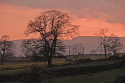 Wensleydale Wallpaper