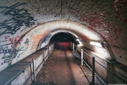 Salt Hill Park Wallpaper