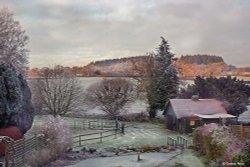 Early morning frost, Hollybrook, Shillingstone. Wallpaper