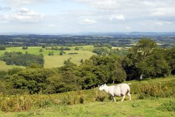 Llanthony area Wallpaper