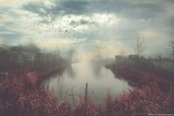 Grand Union Canal Slough Wallpaper