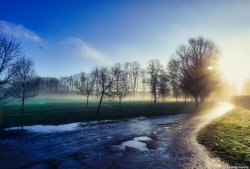 Eton Parks Wallpaper