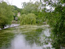 River Teme in summer Wallpaper