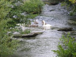 Family time Wallpaper