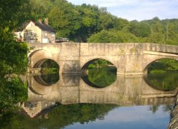 Reflections Wallpaper