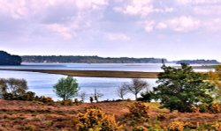 Poole Harbour View From Studland Wallpaper