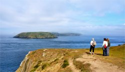 Looking Across to Skomer Island