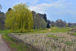 Marks Hall Estate, Coggeshall