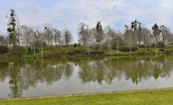 Marks hall Estate Garden Wallpaper