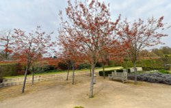 Marks hall Estate Garden Wallpaper