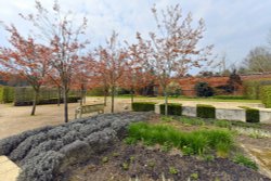 Marks hall Estate Garden Wallpaper