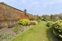 Marks hall Estate Garden Wallpaper
