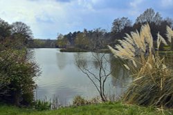 Marks hall Estate Garden Wallpaper