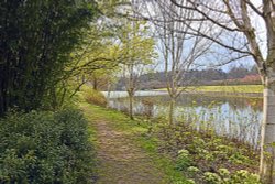 Markshall Estate Grounds Wallpaper