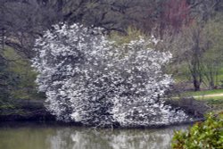 Markshall Estate Grounds Wallpaper