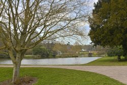 Markshall Estate Grounds Wallpaper