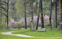 Markshall Estate Grounds Wallpaper