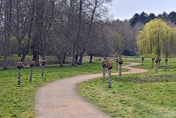 Pollarded willow trees at Markshall Estate Wallpaper