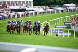Into the Final Straight in the Epsom Derby