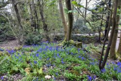 Riverhill Himalayan Garden Wallpaper