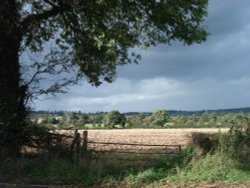 From Markeaton Crematorium 2008 Wallpaper