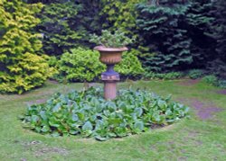 Great Comp Garden Wallpaper