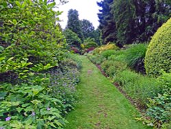 Great Comp Garden Wallpaper