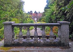 Great Comp Garden Wallpaper