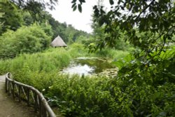 The Water Garden at Arundel Castle