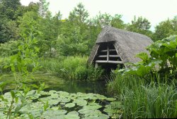 The Water Garden at Arundel Castle Wallpaper