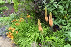 Arundel Castle Gardens Wallpaper