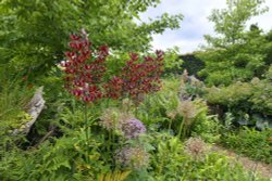 Arundel Castle Gardens