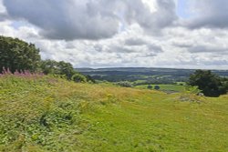 View from Newlands Corner Wallpaper