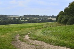 Langley Vale Wallpaper