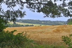 Langley Vale Wallpaper