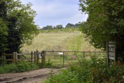 Langley Vale Wallpaper