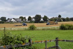 Langley Vale Wallpaper